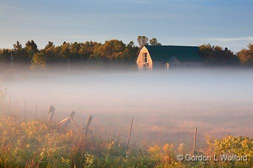 Misty Pasture_07970.jpg - Photographed near Carleton Place, Ontario, Canada.